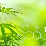 THCa business development